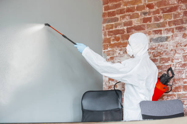 Reliable Hooks, TX Mold Removal Solutions